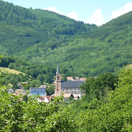 Dom wakacyjny Schlitteur Et Sapiniere Breitenbach