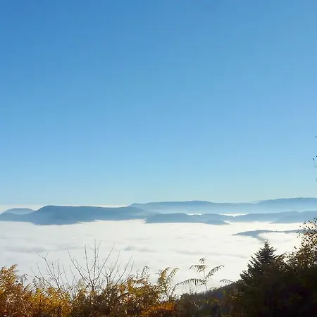 Schlitteur Et Sapiniere Breitenbach