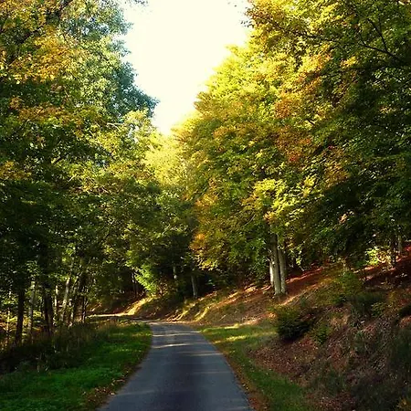 Schlitteur Et Sapiniere Breitenbach