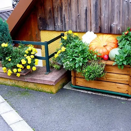 Schlitteur Et Sapiniere Dom wakacyjny