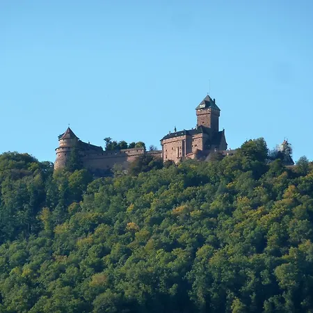 Schlitteur Et Sapiniere Breitenbach