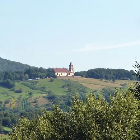 Schlitteur Et Sapiniere Breitenbach