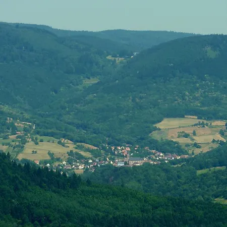 Schlitteur Et Sapiniere Dom wakacyjny Breitenbach