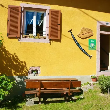 Schlitteur Et Sapiniere Breitenbach