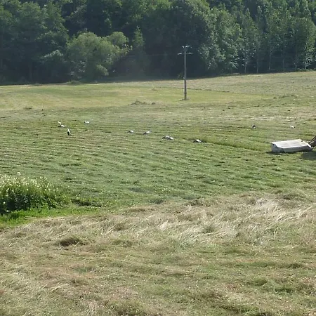 Dom wakacyjny Schlitteur Et Sapiniere Breitenbach